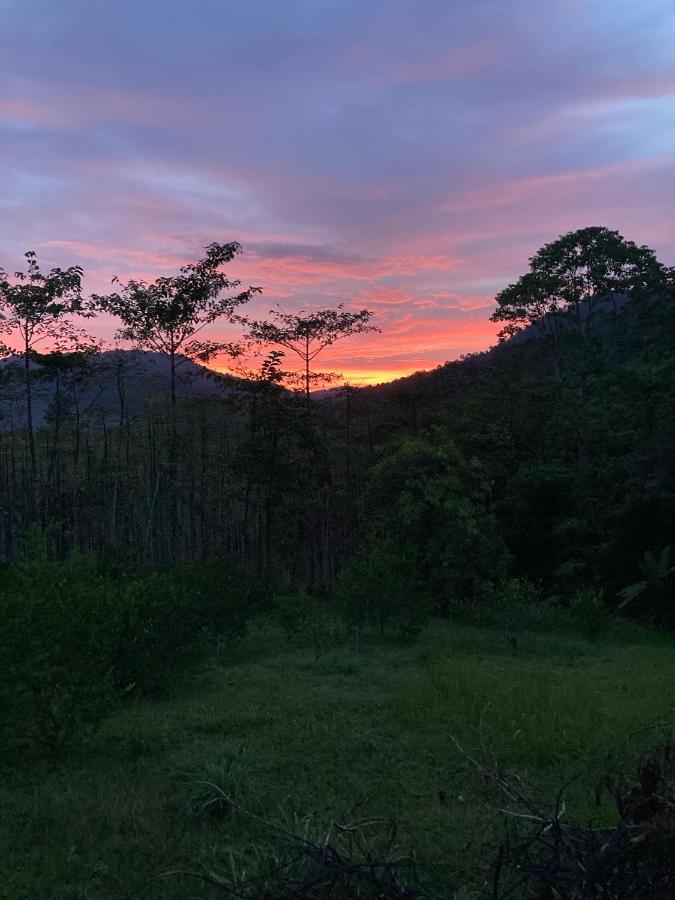 Khao Sok Hill Top Resort Khao Sok National Park Luaran gambar