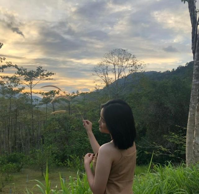 Khao Sok Hill Top Resort Khao Sok National Park Luaran gambar