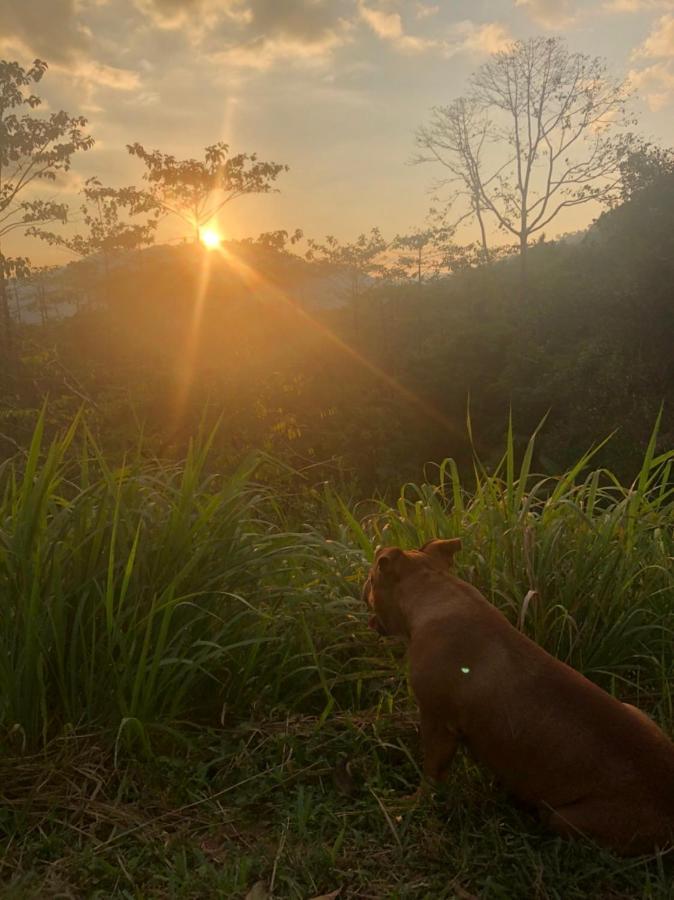 Khao Sok Hill Top Resort Khao Sok National Park Luaran gambar
