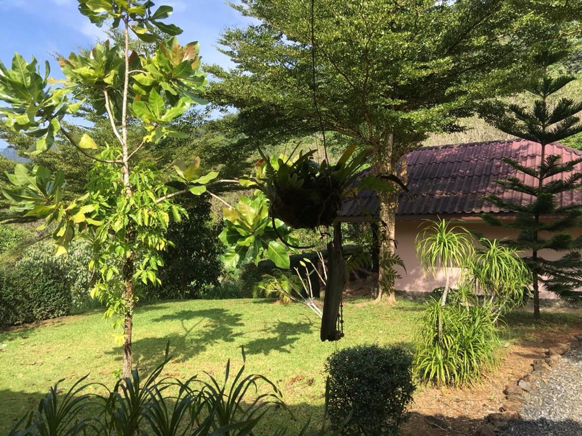 Khao Sok Hill Top Resort Khao Sok National Park Luaran gambar
